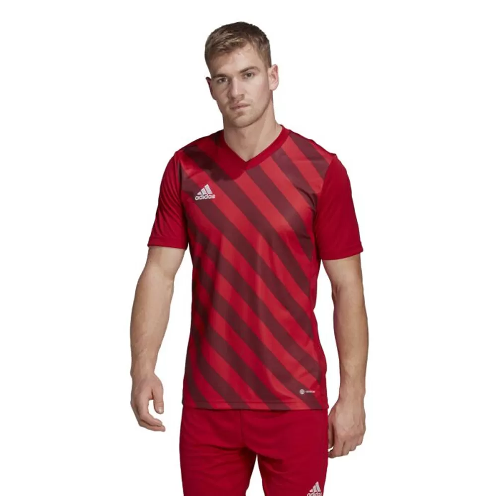 Adidas Adult Entrada 22 Graphic Jersey (Red/Red)