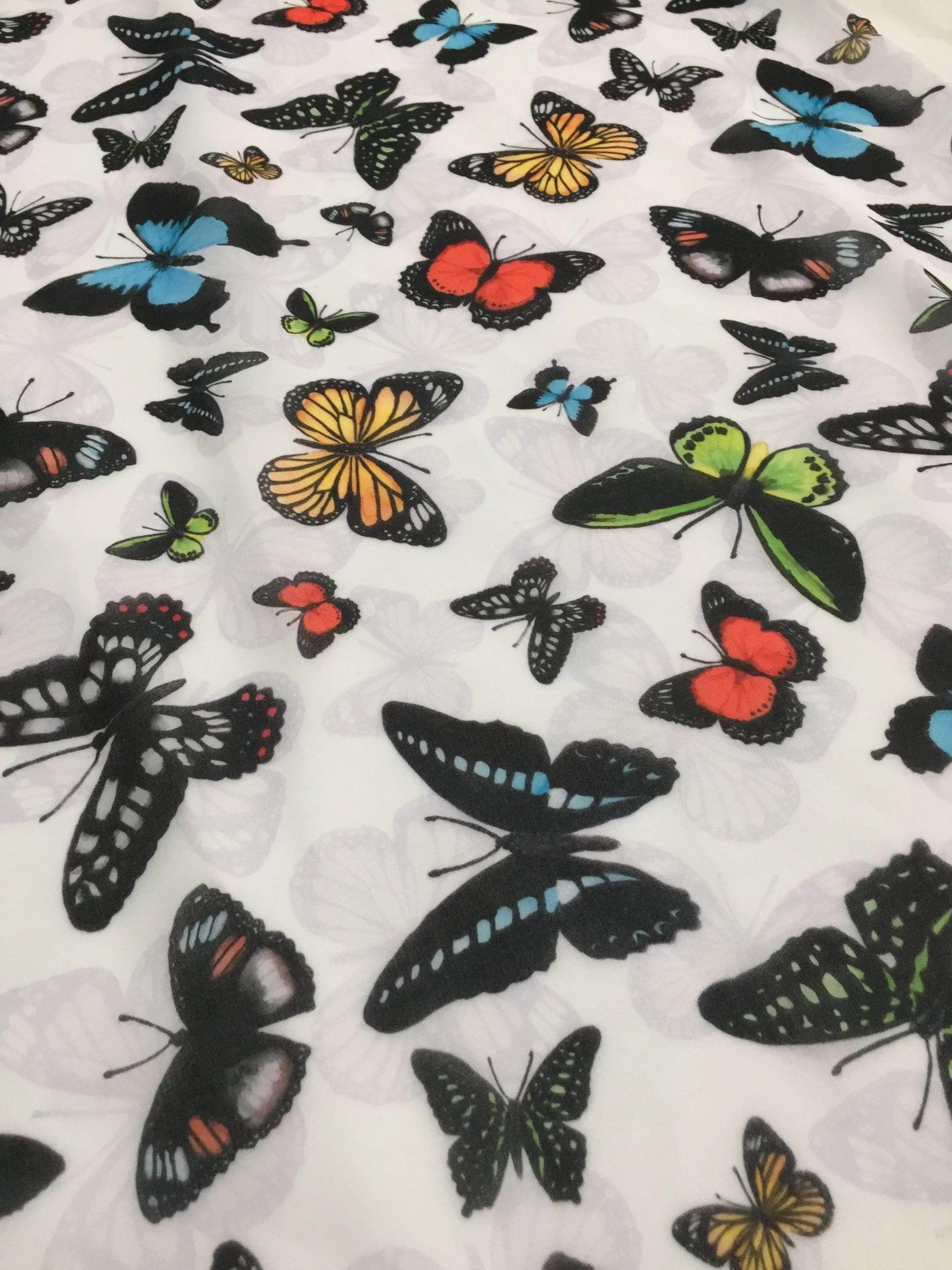 Butterflies of Australia Scarf