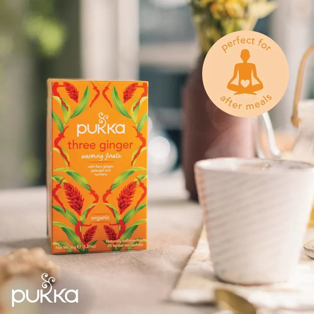 Pukka Tea Three Ginger 20 Teabags 4 Pack