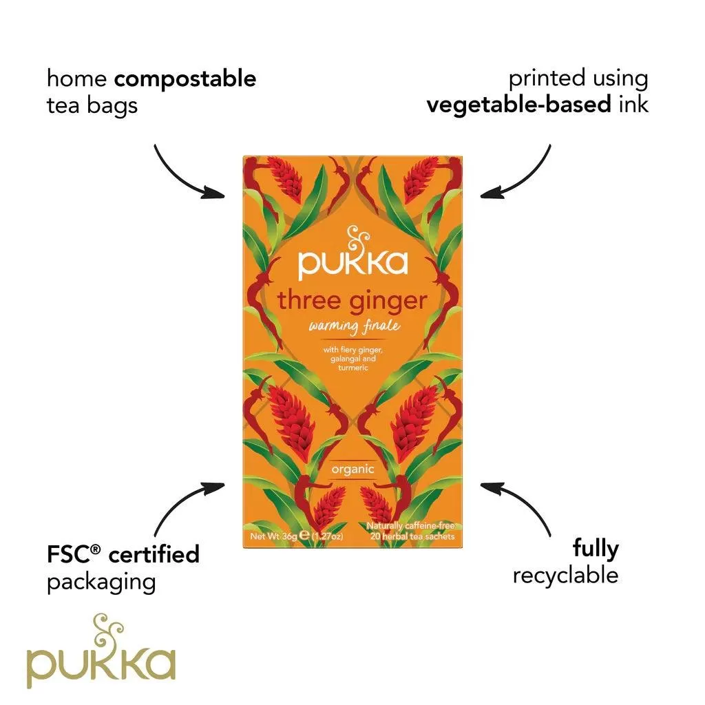 Pukka Tea Three Ginger 20 Teabags 4 Pack