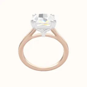 Split Cathedral Engagement Ring With Double Prongs Head